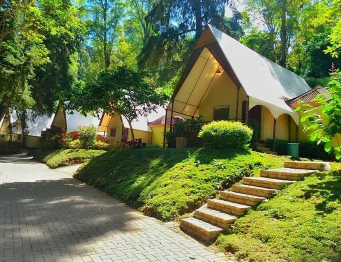 סרנגן Lawu Forest Camp מראה חיצוני תמונה