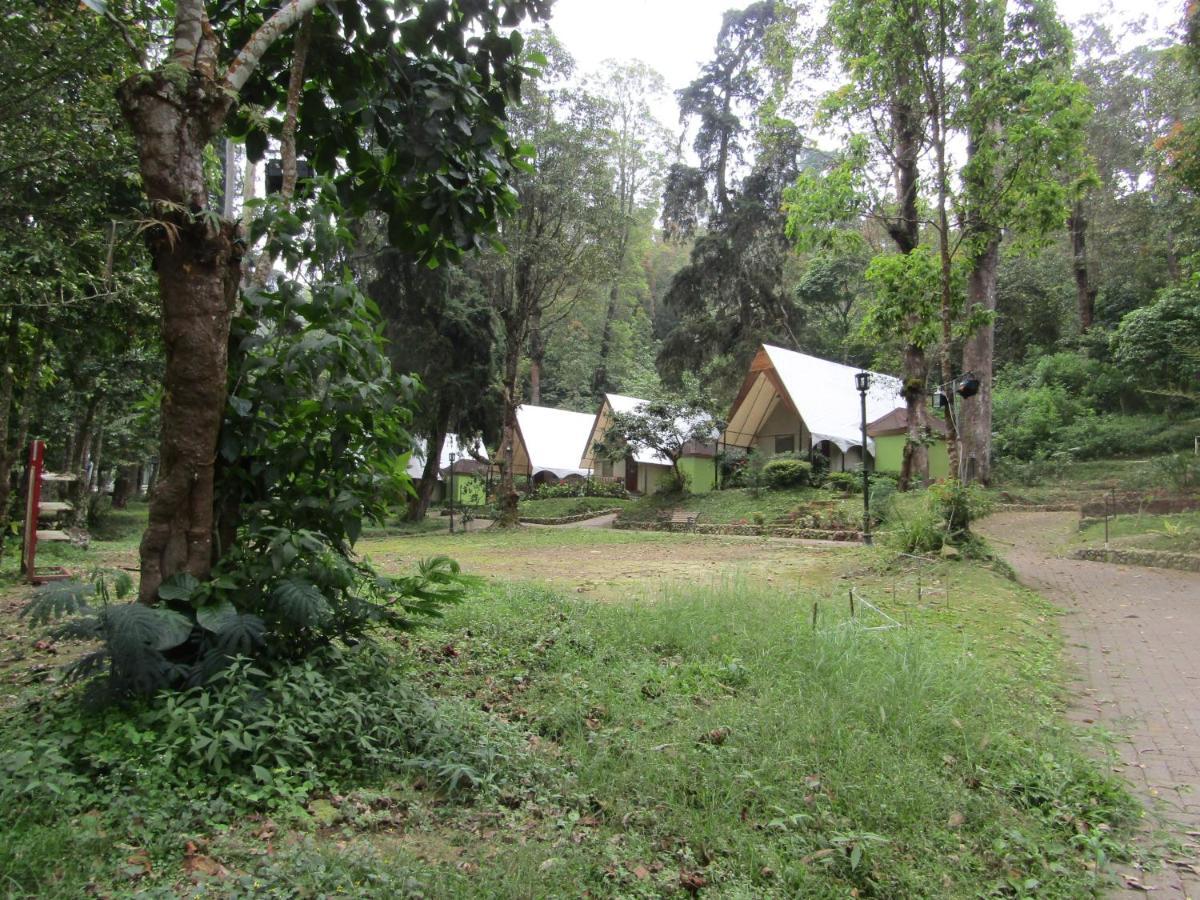 סרנגן Lawu Forest Camp מראה חיצוני תמונה