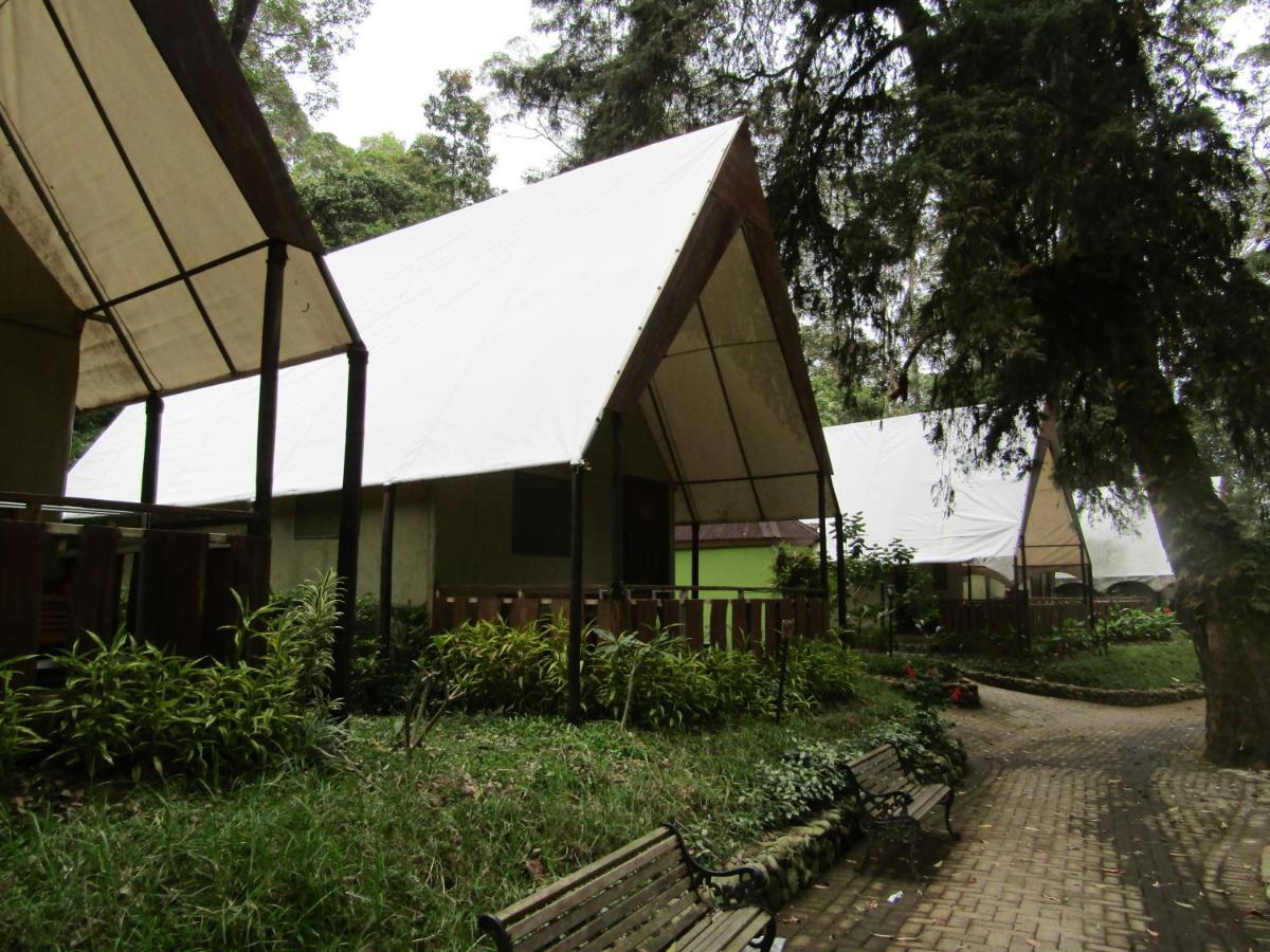 סרנגן Lawu Forest Camp מראה חיצוני תמונה