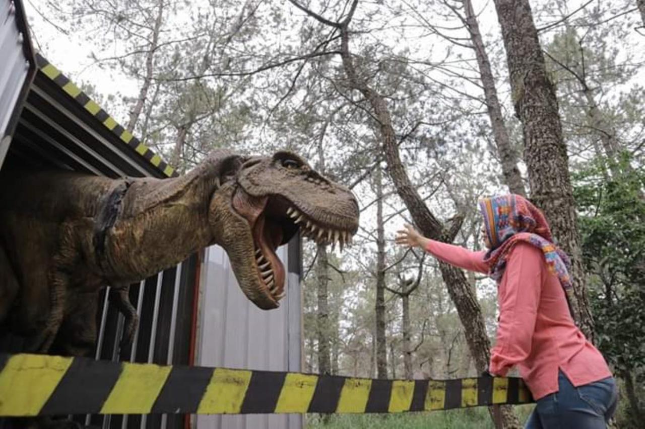סרנגן Lawu Forest Camp מראה חיצוני תמונה