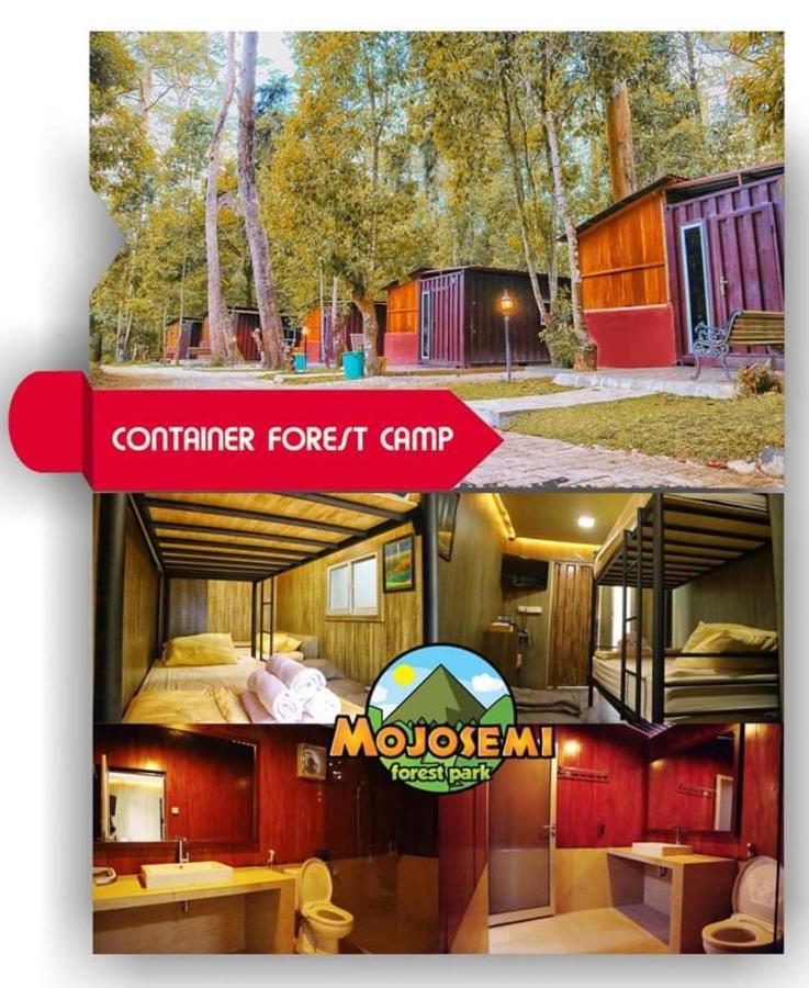 סרנגן Lawu Forest Camp מראה חיצוני תמונה